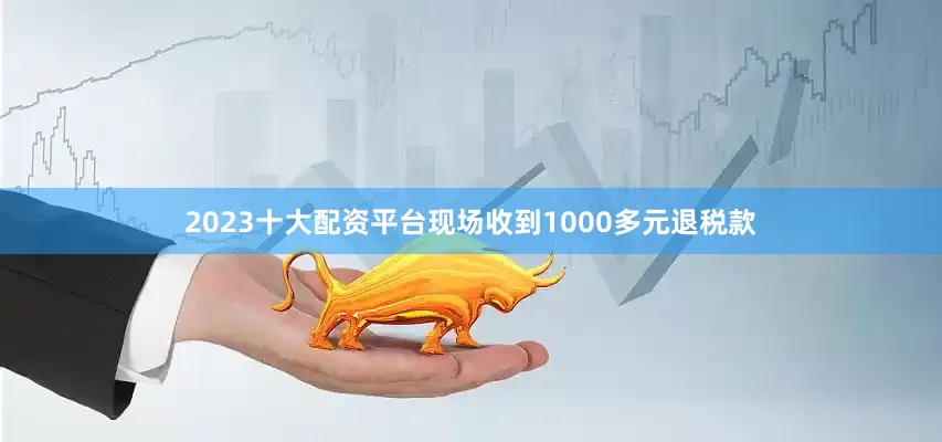 2023十大配资平台现场收到1000多元退税款