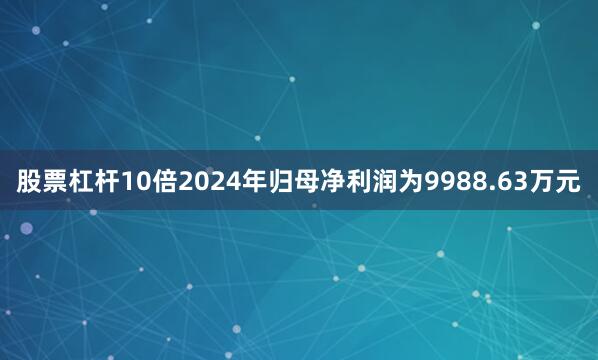 股票杠杆10倍2024年归母净利润为9988.63万元