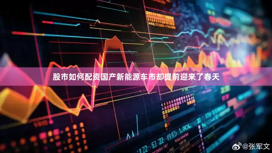 股市如何配资国产新能源车市却提前迎来了春天