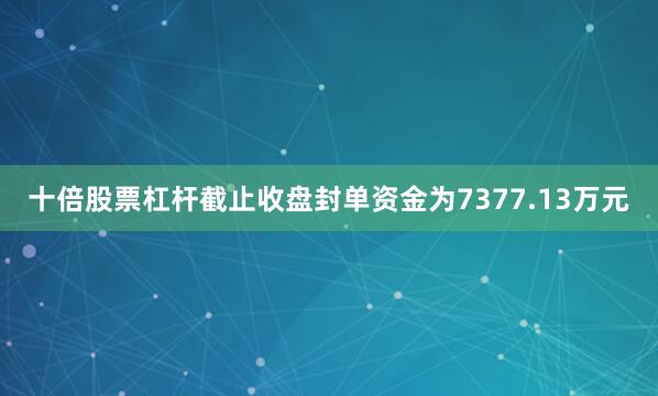 十倍股票杠杆截止收盘封单资金为7377.13万元