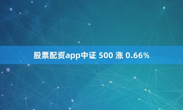 股票配资app中证 500 涨 0.66%