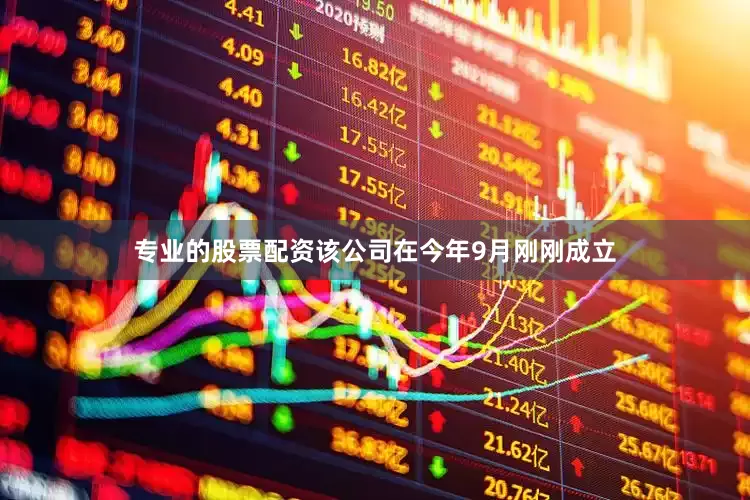 专业的股票配资该公司在今年9月刚刚成立
